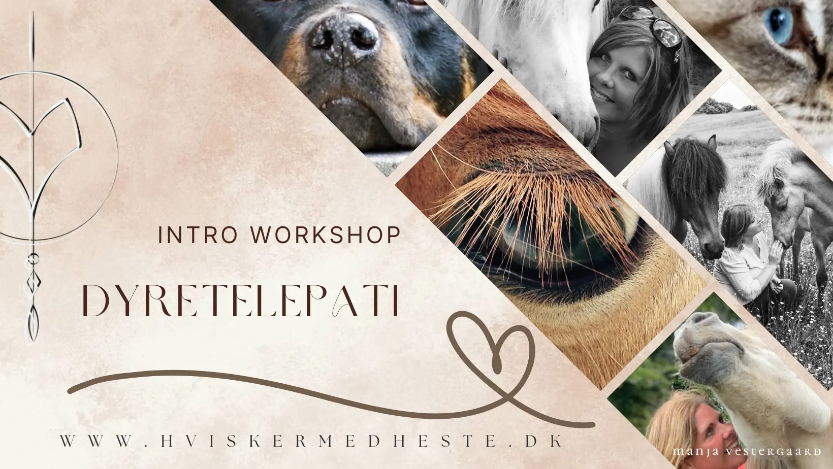 Dyretelepati intro workshop – Oktober 2026
