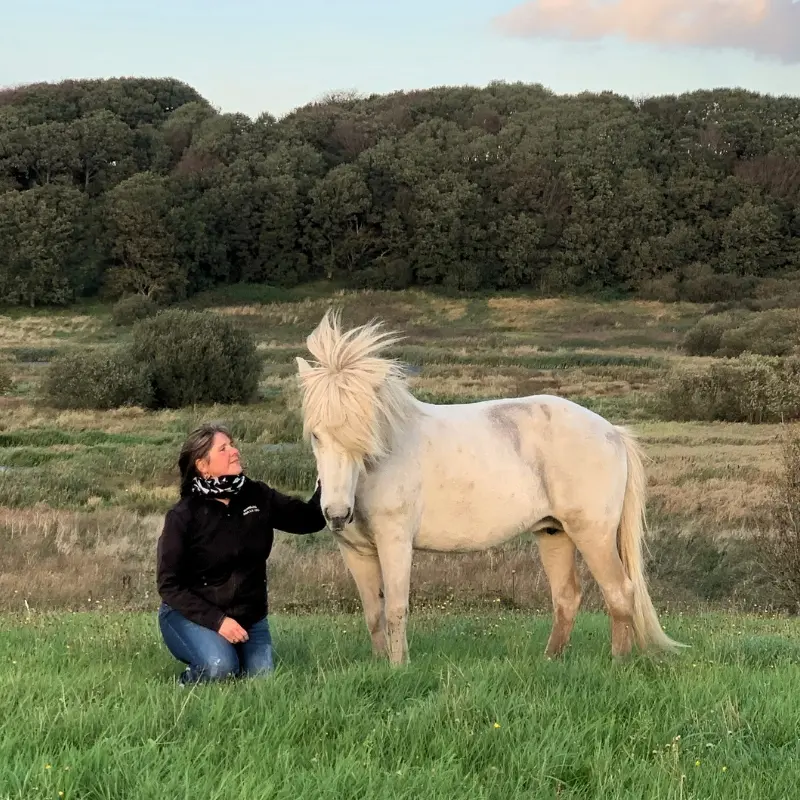 Manja Vestergaard udfører healing og traumeforløsning på en hvid hest i naturskønne omgivelser.