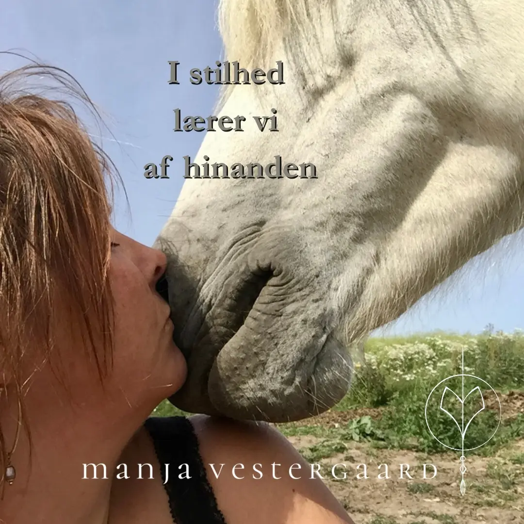 I stilhed lærer vi af hinanden