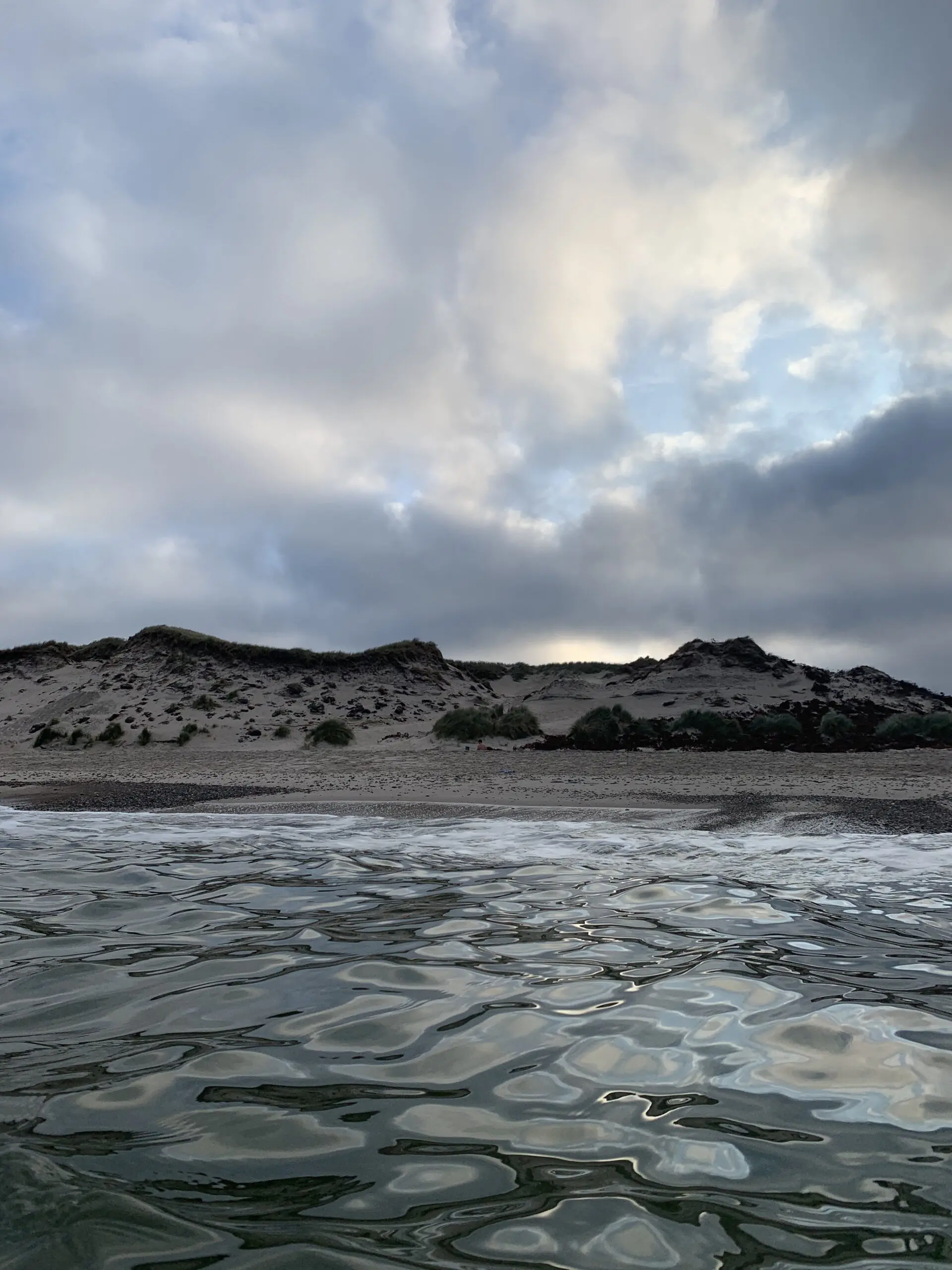 Smuk udsigt over havet og sandklitter ved den danske kyst hos Hvisker med heste.