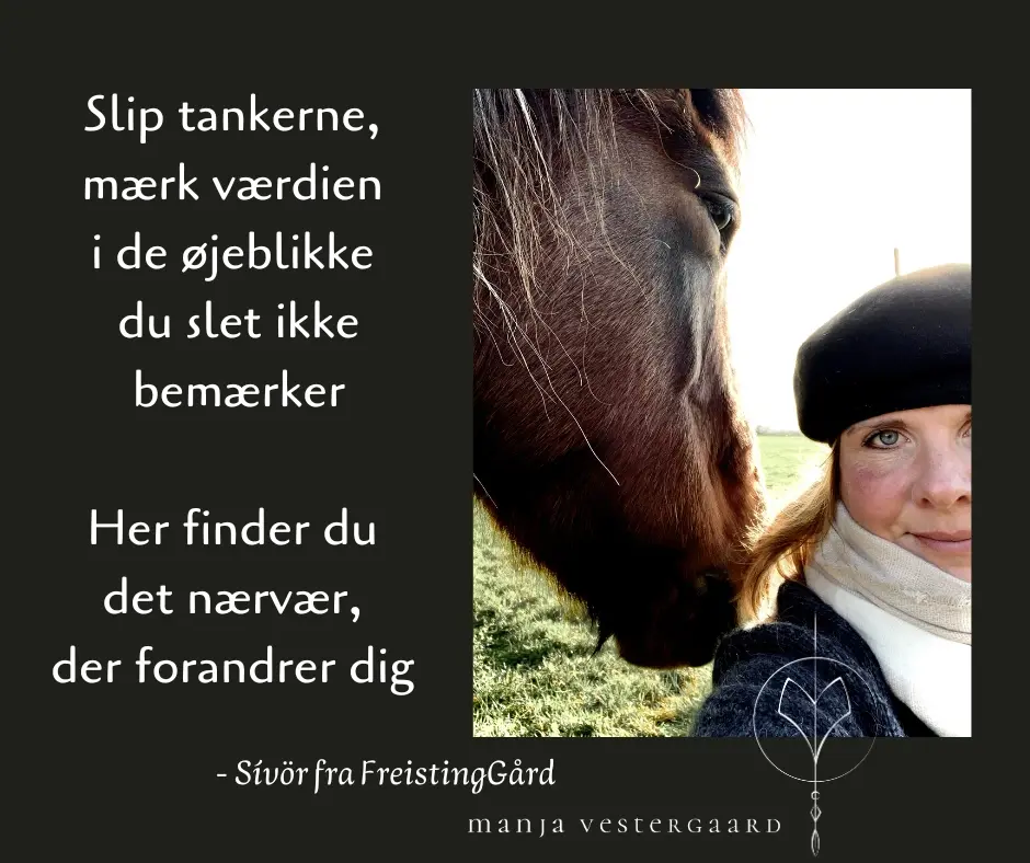 Et lille budskab fra Sívör